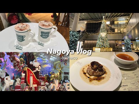 vlog. Nagoya cafe gourmet tour 👭 ｜ Hamburg Conel｜ Layered Hisaya Odori Park｜Christmas illumination 🎄