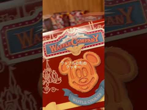 24歳フリーターのクリスマス#クリスマスディズニー #ディズニーランド #劇団四季 #vlog