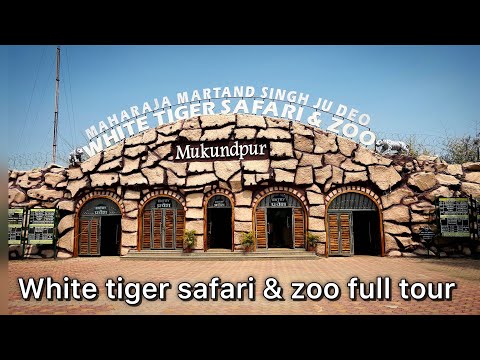 Unveiling the Wonders of the White Tiger Safari & zoo full tour video | butterfly park  #tigersafari