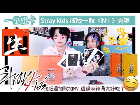 隔三個月就回歸搶錢!!! #Straykids《IN生》SKZ正規一輯改版開箱!誒誒但我願意快點再出吧🤑 | VV迷偶像