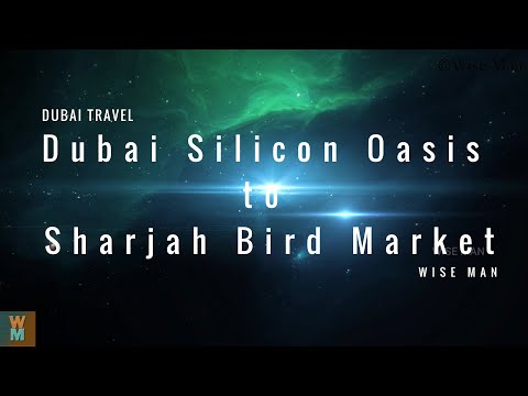 Dubai Silicon Oasis to Sharjah Bird Market Drive #dubai #drive #sharjah #birdmarket