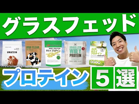 【保存版】グラスフェッドプロテインおすすめ5選│メリットやデメリットは？