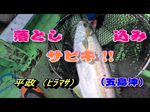 Catch a yellowtail amberjack using a drop sabiki bait! (Off the coast of Goto, Nagasaki Prefecture,