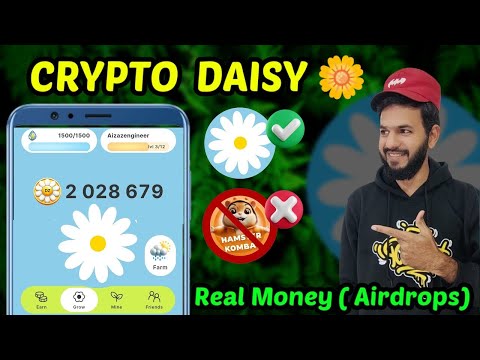 Hamster Kombat Vs Crypto Daisy | crypto daisy airdrop, listing, earning money