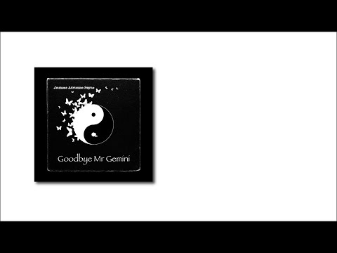 Goodbye Mr Gemini (Original Song)