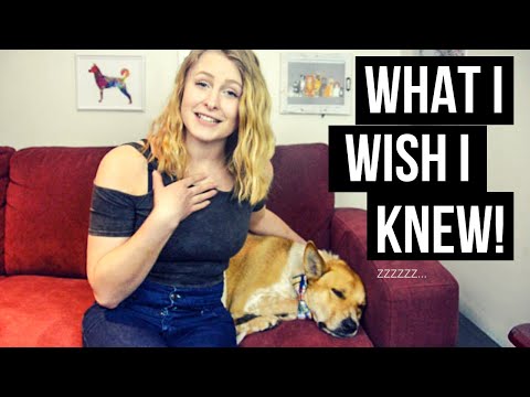 5 THINGS I WISH I KNEW BEFORE ADOPTING A DOG