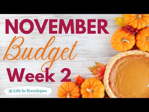 Budget Weekly Check In / Low Income / The Budget Mom / Life In Envelopes Stickers