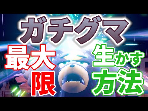 【ガチグマはこう使え】本来の強さを存分に引き出すのはこの構築！過去の実績で証明しつくされたCHALKとは？｜ダブルバトル【ポケモンSV】