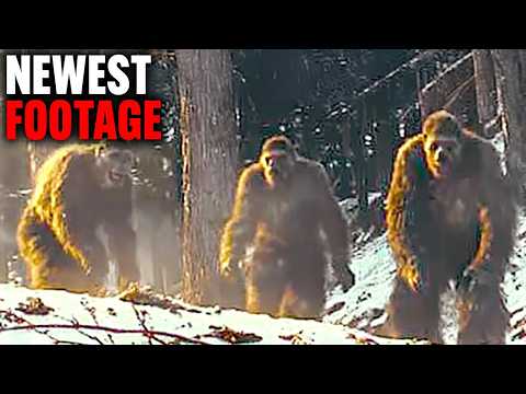 Man Captured The MOST Convincing Footage Of Bigfoot EVER Taken!