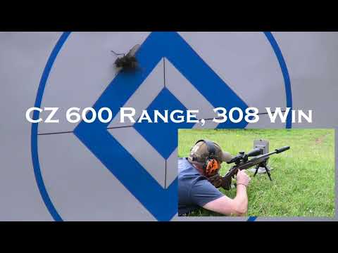 CZ 600 in 308, will the fly survive?