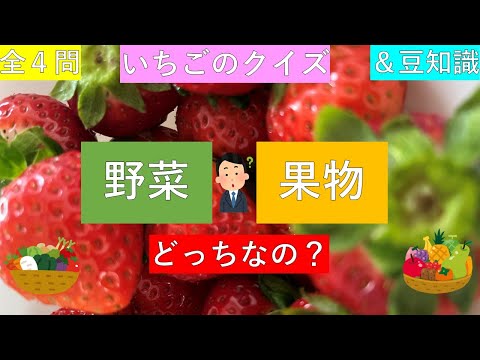 いちごの豆知識【クイズ＋解説付き】※訂正箇所あり（コメント欄）