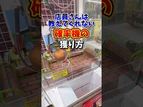 クレーンゲームで確率無視して安く獲りたいならこの方法を試してください🔥(UFOキャッチャー・確率機)