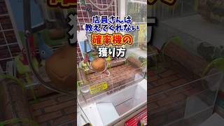 クレーンゲームで確率無視して安く獲りたいならこの方法を試してください🔥(UFOキャッチャー・確率機)