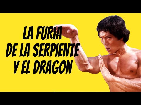 Wu Tang Collection - Dragon's Snake Fist (La Furia De La Serpiente Y El Dragón)