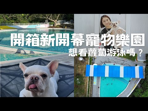 【陳先陳太vlog】開箱苗栗新開幕寵物樂園：樂吧溪畔莊園 ft.Picapica一秒開合寵物床