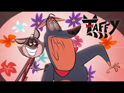 Taffy Becomes an Incredible Hypnotist | Taffy The Show