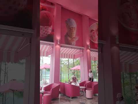 Pink Castle #satisfying #vietnam #shortvideo