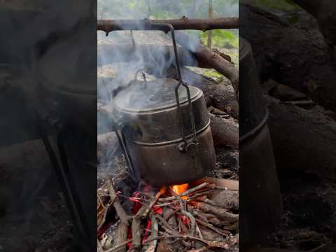 BUSHCRAFT/Best rice to eat in the field