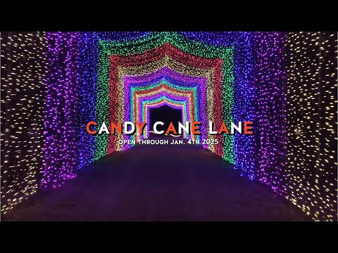 Candy Cane Lane is OPEN!🎄