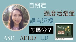 [Sally 粵語 | 星兒教室] 自閉症／過度活躍症／語言遲緩 怎區分？| 性格行為衝動 | 長大後會問題消失？| 有藥物根治嗎？| 自閉症的孩子需要的幫助 | 自閉症治療黃金期