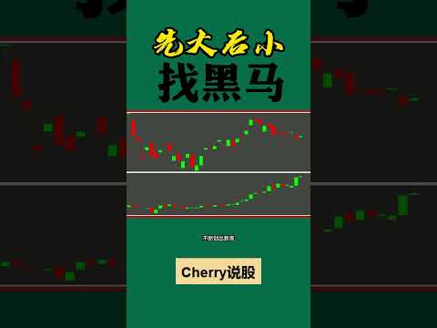 股票买卖 | 先大后小，黑马股这样找#shorts#stockmarket#投资