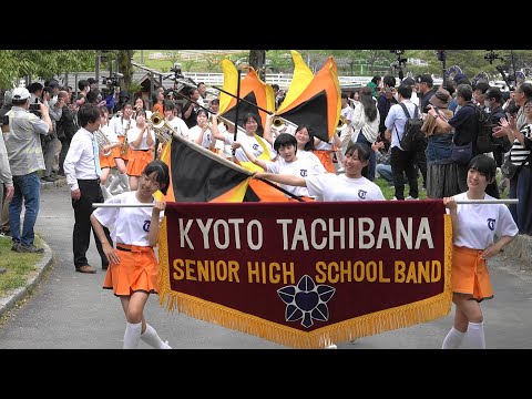 京都橘高校吹奏楽部　2024 Spring March! Blume parade!　FULL14:00～　ブルーメの丘パレード　Kyoto Tachibana SHS Band 「4ｋ」