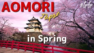 The Most Beautiful Aomori, Japan in Spring