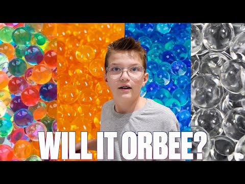 WILL ORBEEZ ABSORB MILK, ORANGE JUICE, OR SODA MORE? PUTTING WATER BEADS IN STRANGE LIQUIDS