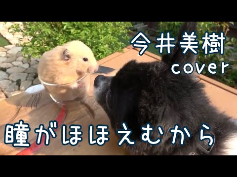 瞳がほほえむから Cover お家でのんびり癒しVer.