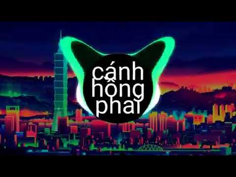 Cánh Hồng Phai Remix