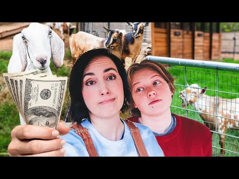 How much MONEY did we spend on the goats this year?