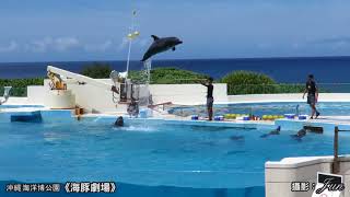 沖繩海洋博公園《海豚劇場》/沖縄海洋博公園《オキちゃん劇場》