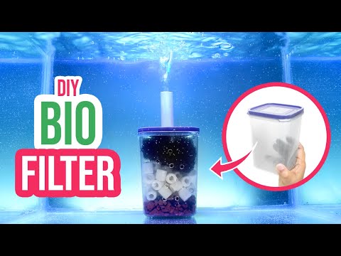 DIY Aquarium Filter Magic: Build a Bio Filter for Your Fish Tank!