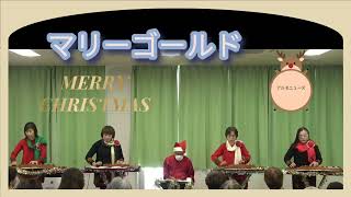 マリーゴールド　大正琴　　　　　　　　アルモニューズ