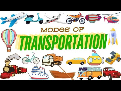 Avoid These Common Transport Mistakes KIDS Make