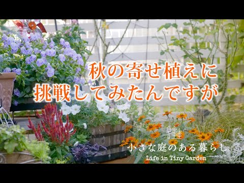 ガーデニング Vlog｜秋の寄せ植えに挑戦したんですが、、｜ 〜小さな庭のある暮らし 145〜Gardening ｜ Life in a tiny garden