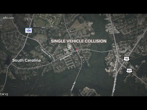 Fatal accident on Lewis Road in Sumter County