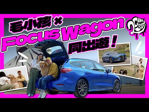 載著心愛萌寵出遊！Ford Focus Wagon 竟如此受到毛孩喜愛？｜大夥來聊車 Ft. @ford @FordTaiwan