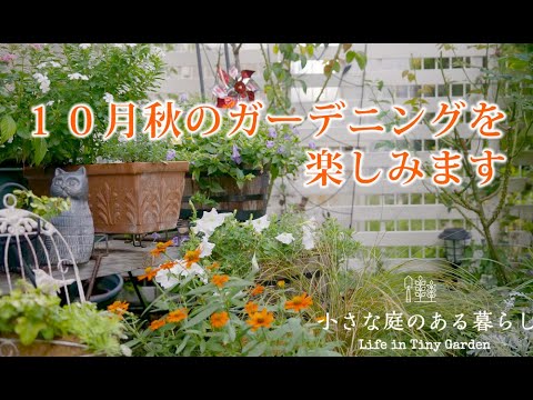 ガーデニング Vlog｜１０月秋のガーデニングを楽しみます｜ 〜小さな庭のある暮らし 143〜Gardening ｜ Life in a tiny garden