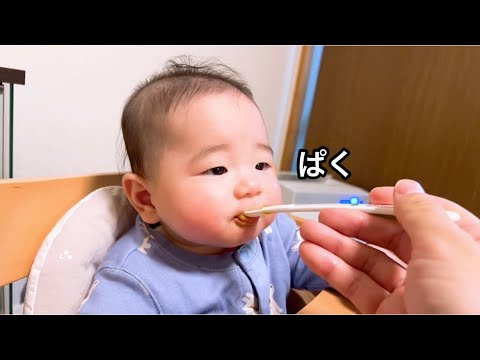 【生後6ヶ月】離乳食を食べる赤ちゃん