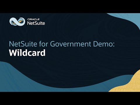 Using Wild Card Search in Oracle NetSuite for Government