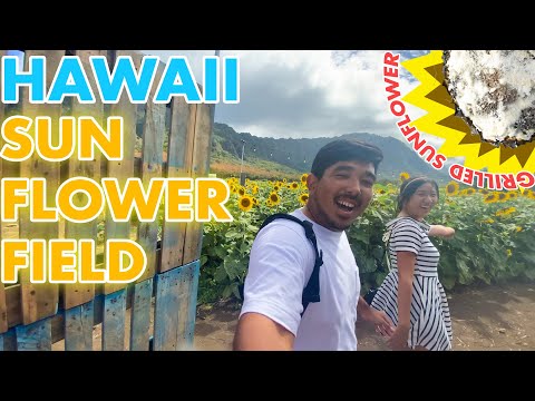 HAWAII FOOD TOUR - SUNFLOWER PATCH (honolulu,hawaii) #hawaii #hawaiivlog