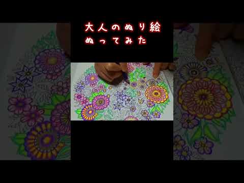 7色【大人のぬり絵】ぬってみた #shorts