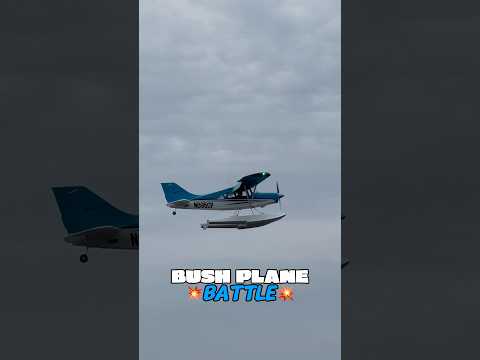 Battle of the RC Bush Planes✈️