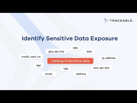 Traceable API Catalog: Automatically Identify Sensitive Data Exposure