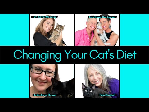 How To Transition Your Cat To A Fresh Food Diet | Round Table Live With The Experts