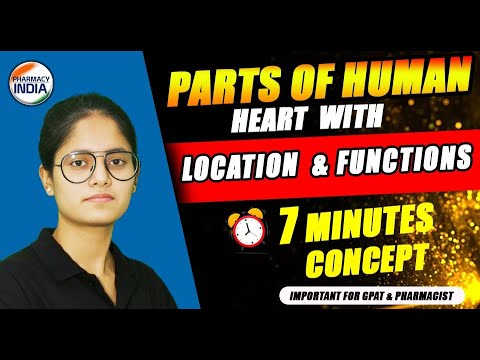 Part of Human Heart With Location & Function | Learn in Just 7 Minutes #gpat #pharmacist #niper