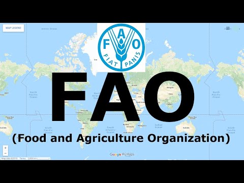 FAO (Food and Agriculture Organization) | International Organization | NaRvi Academy