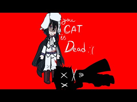 your cat is dead meme | BSD | Fyozai & DazFyo | Dazai Osamu & Fyodor Dostoevsky