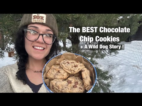 The Best Chocolate Chip Cookie Recipe & The Story of Finding Bruce on the Roof | Homestead Life